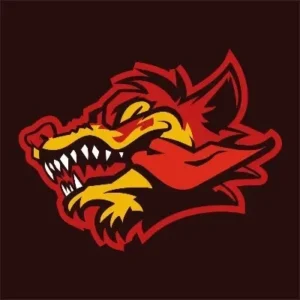 Vítimas FC