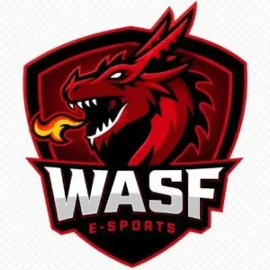 WasF E-Sports